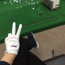 VIP 골프 스쿨 이미지