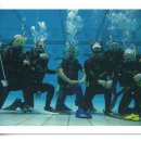 올림픽수영장 이미지