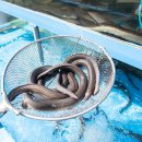 수경수산 이미지