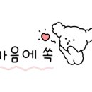 로젤리스튜디오