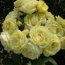 장성공원3 이미지