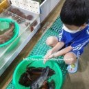 주문진활어회센타 이미지