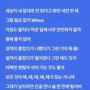 미스터(Mr)세차왕 | Mr.Simple