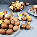 훈 농장 이미지