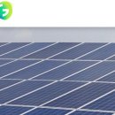 알파 태양광발전소 이미지