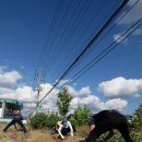 하산 농장 이미지