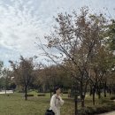 서가농원