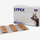 라이펙스 이미지