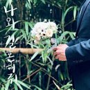 블랑(BLANC) 네이버블로그