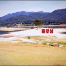 흥진산업 | 대청댐 드라이브 코스 오백리길 산책 맛집 카페 대청호 명상정원→조선오리→호수뷰 카페 핫플레이스
