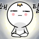 옆구리터진올레김밥