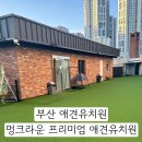 멍크라운 이미지