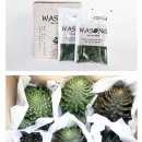 마중물 농장 이미지