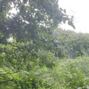 동산어린이공원 화장실 이미지