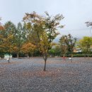 그린나무영월 이미지