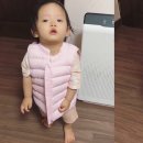 정인 이미지
