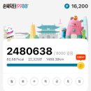 봉쓰리 | 워홀 d+53(시드니 카페 쓰리잡러의 우당탕하루/써드...온라인구매_봉고데기 구매후기/윤남노 순두부찌개...