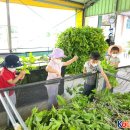 청남초교 병설유치원 이미지