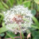 구덕초등학교 이미지