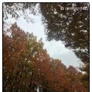 도구머리공원1-1 이미지