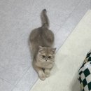 아지네농장 이미지