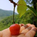 하금농장 이미지