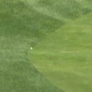 드라이버독 이미지