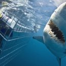 탐나투어 이미지