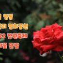 영동 매천리 이암사와 마애불 네이버블로그