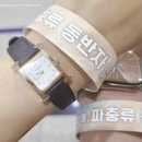 작은물결 | 대전 파충류 박람회 파동 | 도마뱀 집사의 작은물결 파충류동반자 DCC 행사 후기