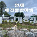 인제04-3 이미지