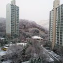 경기도청 이미지