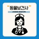 보람가축약품 | 동물보건사 연봉 및 월급(경력별 차이), 취업 분야와 근무환경