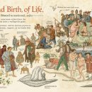 보람웰빙 이미지