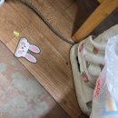 에이스이불마트 | 11월 몽땅이야