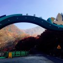 소요산충남식당 이미지