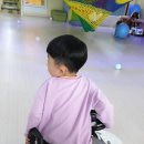 연보라 이미지