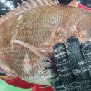 숲속애바다실내낚시터 이미지