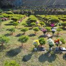 양지-3549 이미지