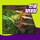 황소솥뚜껑구이 이미지