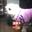 원한증막 이미지