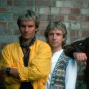 엠티브이 이미지