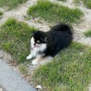 스테이산들펜션 계곡 수영장 단체 가족 이미지