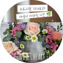 그림책 속 향기교실 | 별내 다산 ,신촌초등학교 독서원예 정서심리 프로그램 생화리스수업 그림책과 꽃으로 만난 나의 마음.