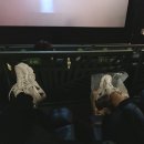 매니아 인형뽑기 이미지