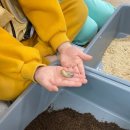 신금초등학교 병설 이미지