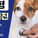 창문동물병원 이미지