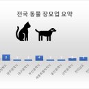 FM펫 스카이랜드 이미지