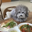 성북초등학교 | [전포맛집/전포브런치] 특별한 브런치를 즐길 수 있는 신상 전포 파스타 맛집! 실내애견동반가능한...