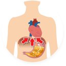 스탠다드코어